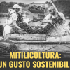 Mitilicoltura: un gusto sostenibile