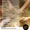 Programma workshop 