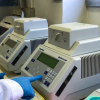 Termociclatori per l’amplificazione di DNA attraverso la reazione a catena della polimerasi (PCR) e successiva identificazione degli isolati mediante sequenziamento del prodotto di amplificazione ottenuto