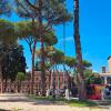 Piazza Venezia Roma