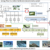 Figura 1. Schema parziale di sistema PBDM (physiologically based demographic models, modelli demografici basati sulla fisiologia) che illustra il flusso di energia/materia all'interno della pianta e verso gli erbivori che attaccano diverse unità della pianta, compreso il processo di trasmissione di malattie da parte di un erbivoro che si nutre di linfa, e alcuni dei nemici naturali generalisti che attaccano gli erbivori. La biologia degli erbivori viene approfondita per mostrare il dettaglio degli stadi deg