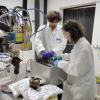 I ricercatori ENEA al lavoro su J3D
