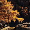 Copertina del volume La Rete Italiana per la Ricerca Ecologica di Lungo Termine. Lo studio della biodiversità e dei cambiamenti