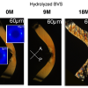Dopo 9 mesi dall’impianto, lo scaffold a base di PLLA non mostra segni di degradazione rispetto al momento dell’impianto stesso, come si evince dalla struttura omogenea osservata al microscopio ottico in luce polarizzata. Anche la struttura cristallina, come mostrato dalle immagini di diffrazione di raggi x, resta pressoché invariata lungo tutto lo spessore dello scaffold. La morfologia cambia drasticamente dopo 18 mesi dall’impianto, dove appaiono segni evidenti di degradazione