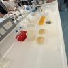 visita studenti liceo Righi