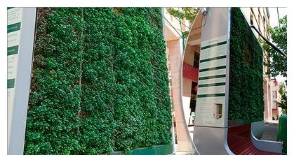 pannello verde con muschio