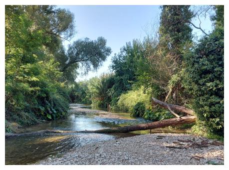 Fiume Farfa