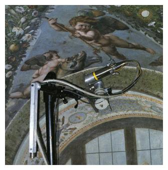 un particolare di un affresco di Villa Farnesina