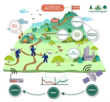Diagram Forest Navigator