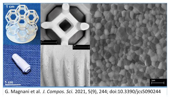 Nell'immagine stampa 3D di materiali ceramici biocompatibili