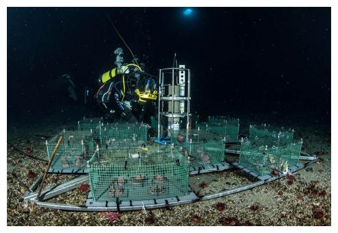Installazione del laboratorio sottomarino nel mar di Ross in Antartide 