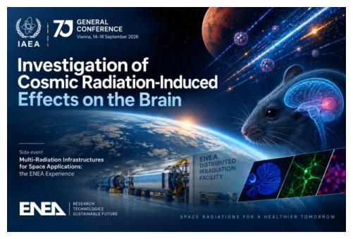 Investigation of Cosmic Radiation-Induced Effects on the Brain
