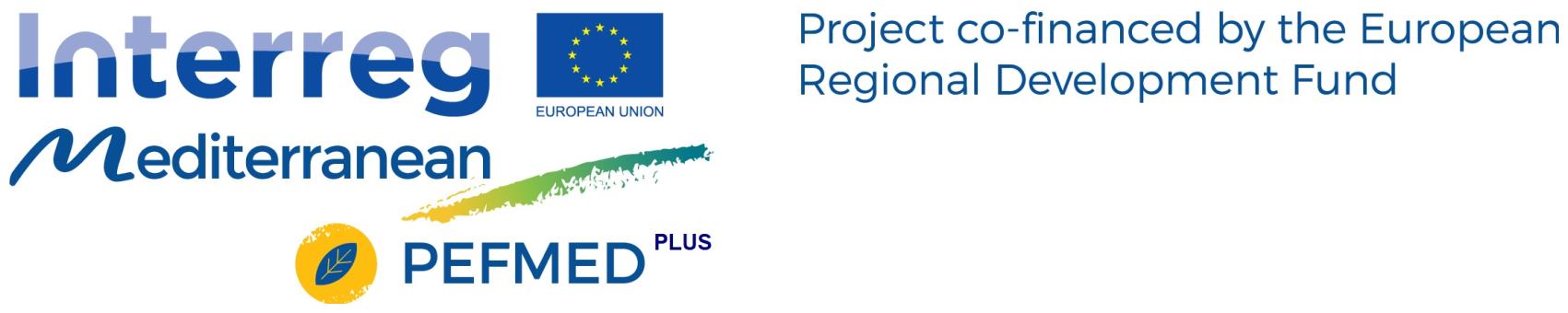 logo provvisorio