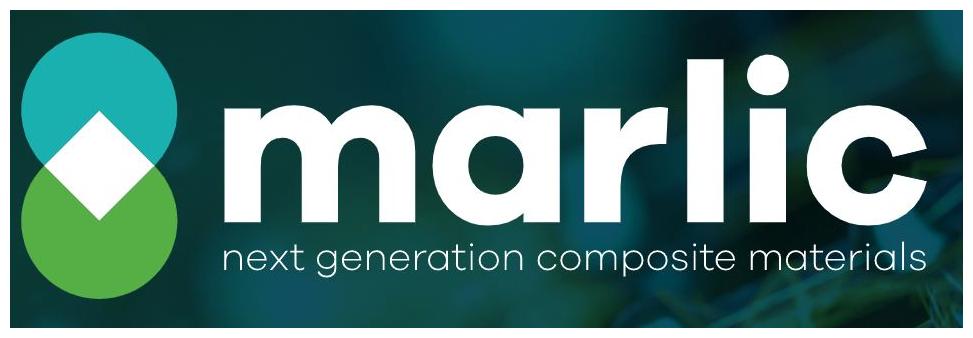 Logo Progetto MARLIC