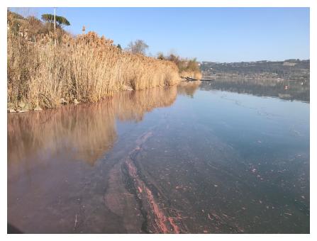 Lago Albano con le fioriture di Planktothrix rubescens dal caratteristico colore rosso