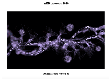 schermata_2020-10-07_alle_14.49.13.png 