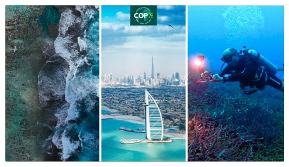 Habitat mapping alla COP28