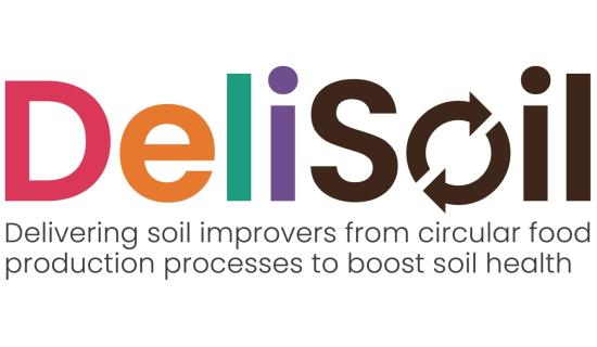 Logo Progetto