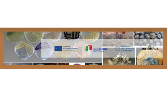 Logo progetto