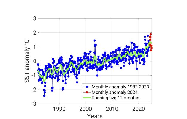 Temperatura Mar Mediterraneo