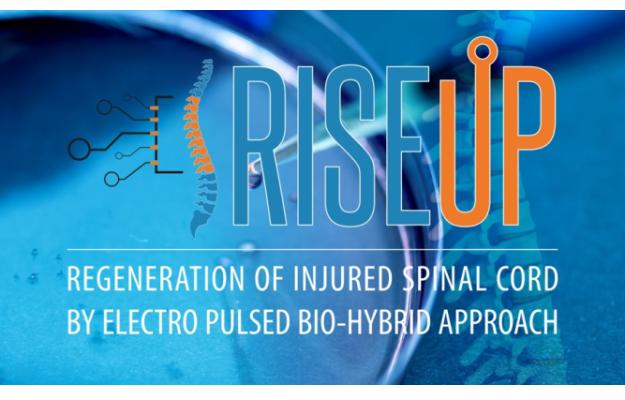 RISEUP EU FET-OPEN project