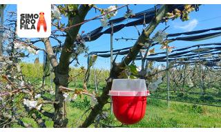 progetto simodrofila