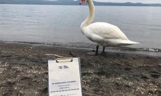 Lago di Bracciano: campionamento dei sedimenti sulla spiaggia
