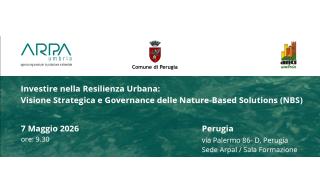 Copertina seminario