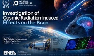 Investigation of Cosmic Radiation-Induced Effects on the Brain