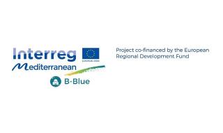 Logo Progetto B-Blue