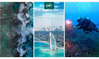 Habitat mapping alla COP28