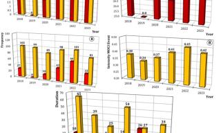 Grafici stress calore Roma