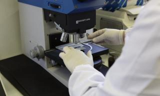 Trasformazione delle risorse biologiche in prodotti ad alto valore aggiunto