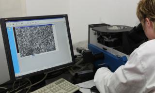 fig._2_micr._ottica_faenza.jpg 