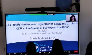 Presentazione Piattaforma ICESP Grazia Barberio