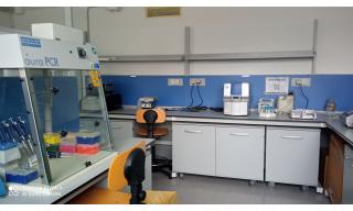laboratorio biologia molecolare