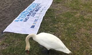 Banner Progetto Life Blue Lakes 