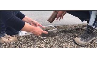 Campionamento delle microplastiche sulla sabbia