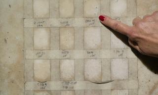 Tavolozza di marmo per la scelta dei ceppi di batteri per il biorestauro