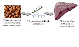 graphical abstract