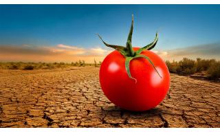 Progetto HARNESSTOM Pomodoro Progetto HARNESSTOM Pomodoro