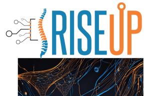 RISEUP e l'effetto degli impulsi elettrici ultra-brevi sulle cellule staminali neuronali RISEUP e l'effetto degli impulsi elettrici ultra-brevi sulle cellule staminali neuronali