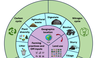 Le pratiche agricole sostenibili influenzano il microbioma del suolo