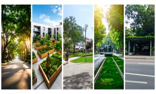 Illustrazione isola di calore